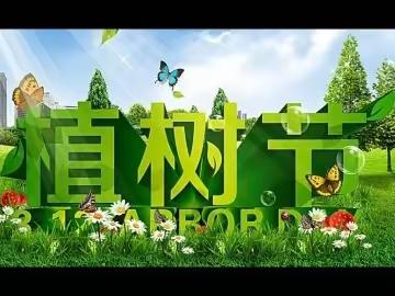 【樊村镇】为人民种树 ，为群众造福