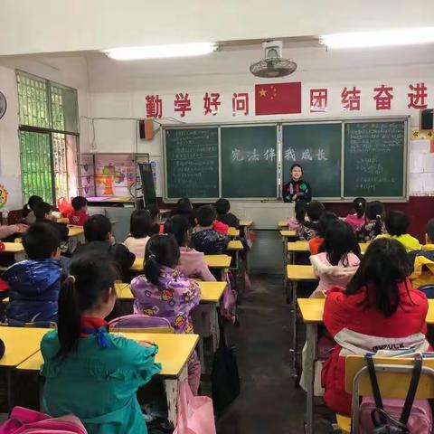 宪法伴我成长