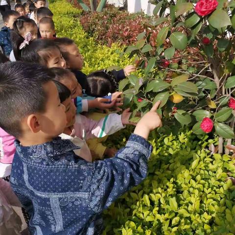 时光恰好  遇见春天  ——彭水县幼儿园小四班