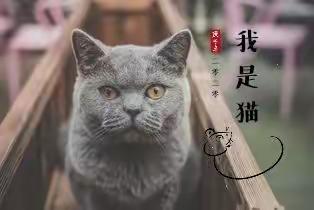 寒假阅读第三季《我是猫》――第一小组阅读纪实