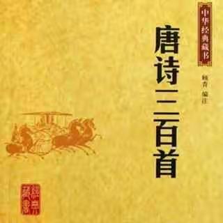 曙光的美篇
