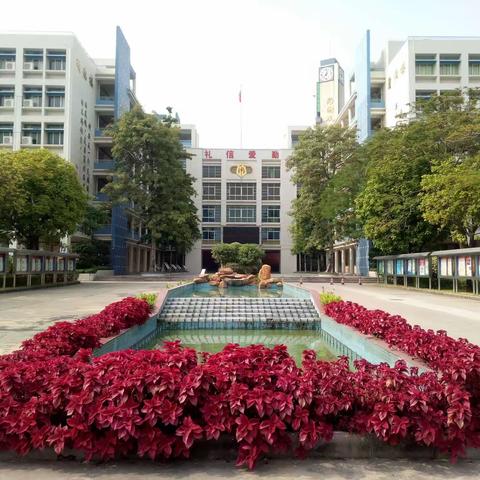 课例呈现展风采，               风格凝炼促成长