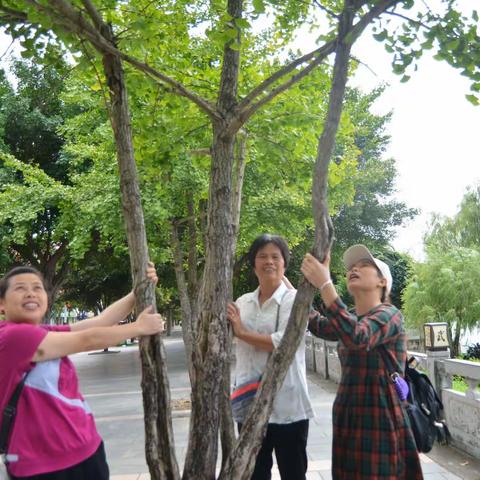 一片丹心的美篇