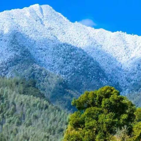 南有六春湖，北有玉泉山。               踏雪寻源，林海雪原。