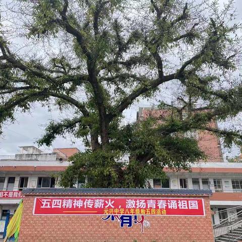 五四精神传薪火  激扬青春颂祖国                ——元兴中学八年级举办“五四”青年节纪念活动
