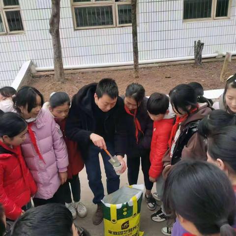 心存期待，“树”你最美