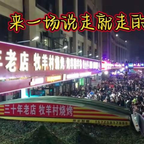 进‘淄’赶烤--势不可挡，淄博吃喝玩乐深度3日游