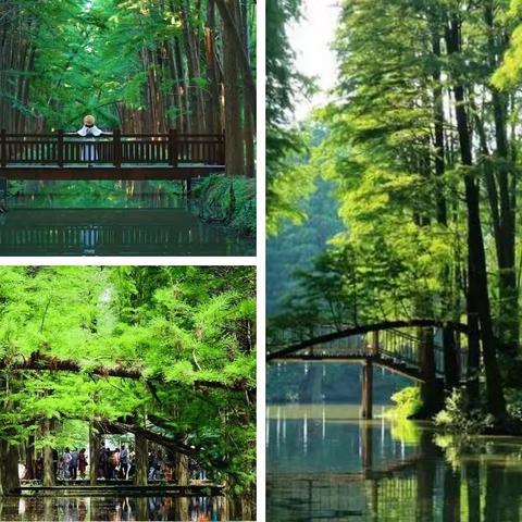 烟花三月下扬州四日游