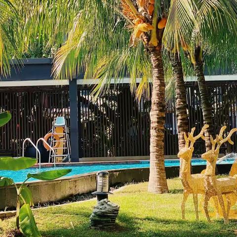 ［雅阁套房度假酒店］开展“搬家式”环境卫生大扫除活动