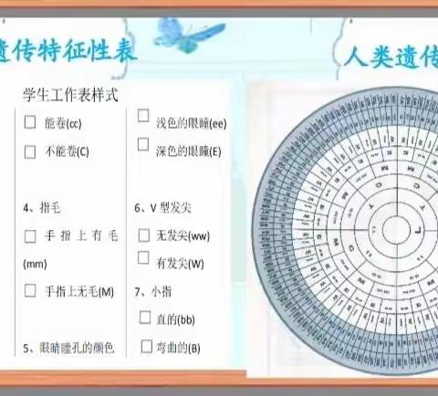 “大孩子们”也能玩的生态游戏体验记录