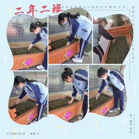 在实践中锻炼，在锻炼中成长——双辽市第四中学开展社会实践活动