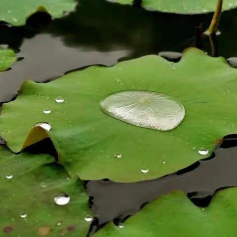 “竹外桃花三两枝，春江水暖鸭先知”民泰银行下各支行四月线上活动