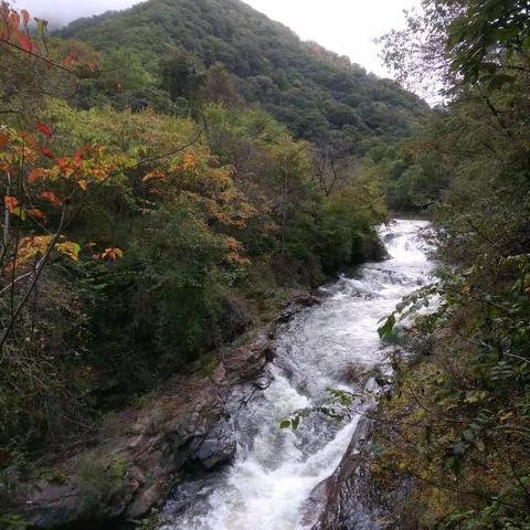 黄柏源风景