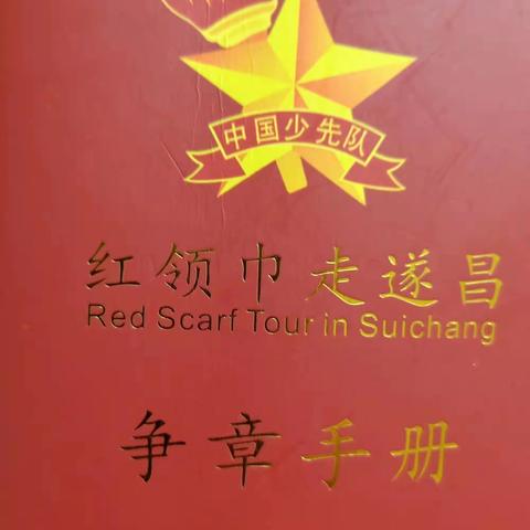 红领巾走遂昌，少先队员展未来！遂昌实验小学205班“铿锵小分队”争章活动记录