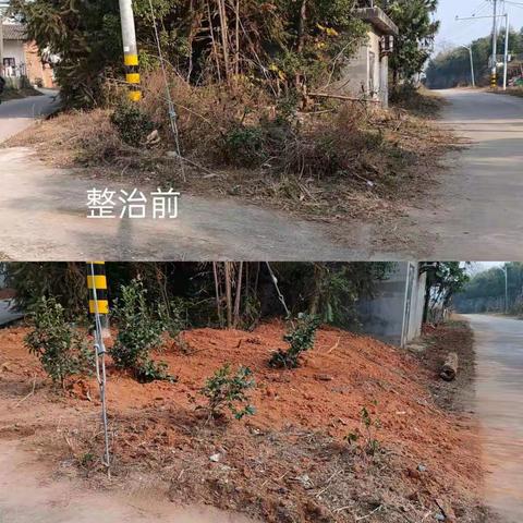 秀谷镇动员全镇力量开展创国卫行动