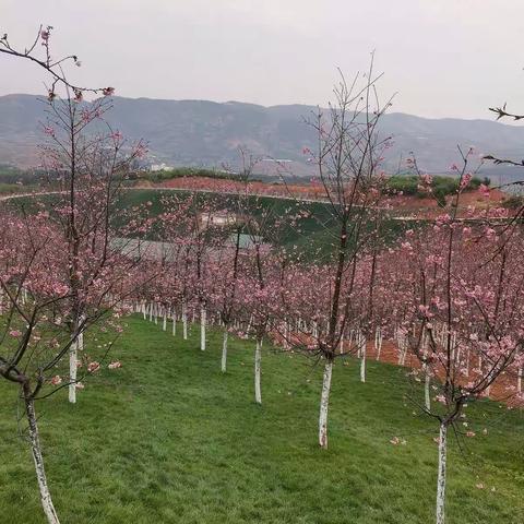 宜良县第五中学241班