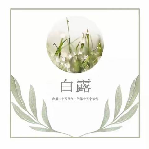 「菊幼动态」遇见.白露——菊胡同幼儿园“白露”节气活动