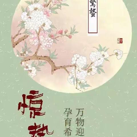 「菊幼动态」💓惊蛰至，满园春——保定市菊胡同幼儿园教育集团惊蛰节气活动