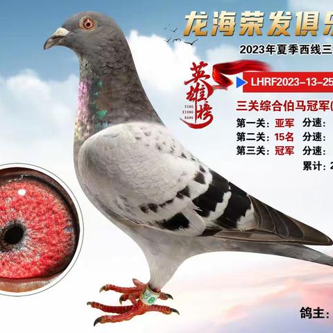 龙海荣发俱乐部2023年夏季西线三关大奖赛