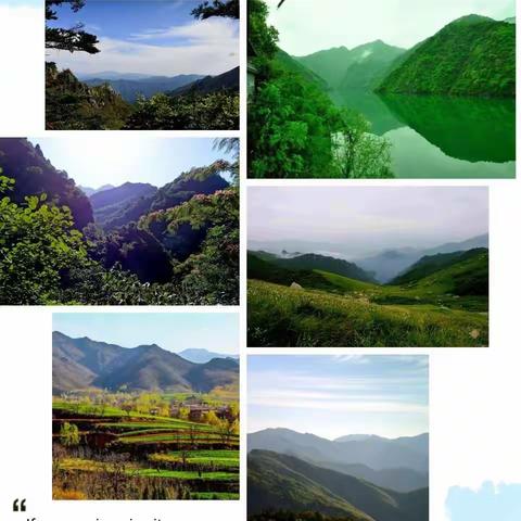 张卜张桥小学【保护秦岭野生动植物专题教育】