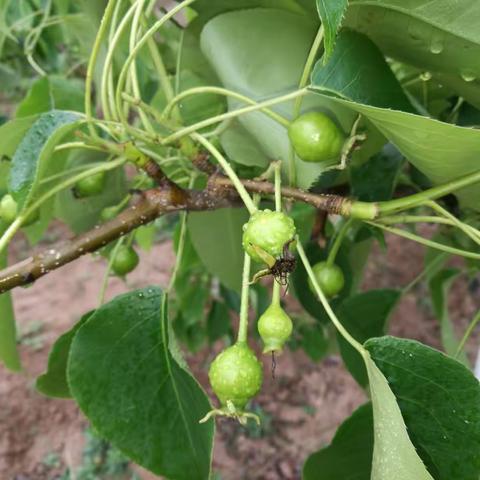 汾西扶贫纪实一