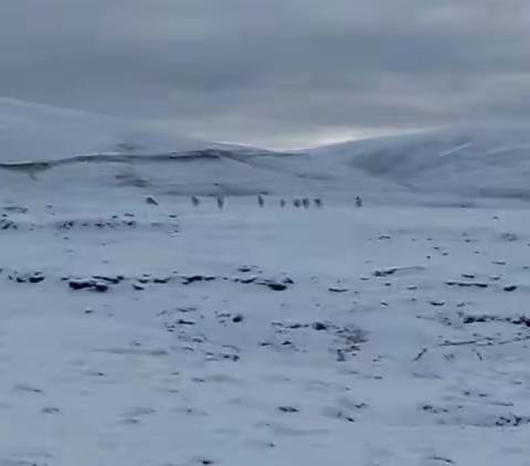 23天川藏青游记3——青