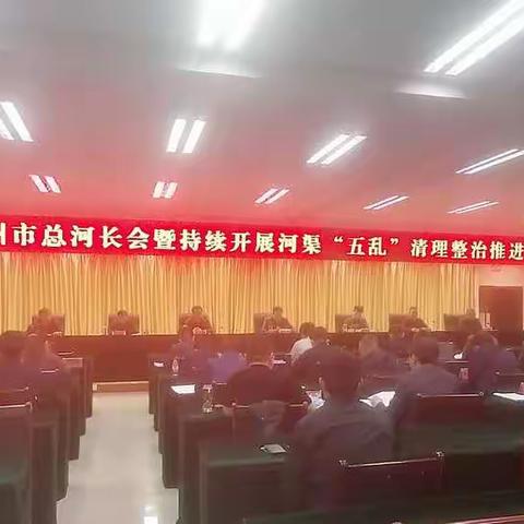 深州市召开深州市总河长会暨持续开展河渠“五乱”清理整治推进会