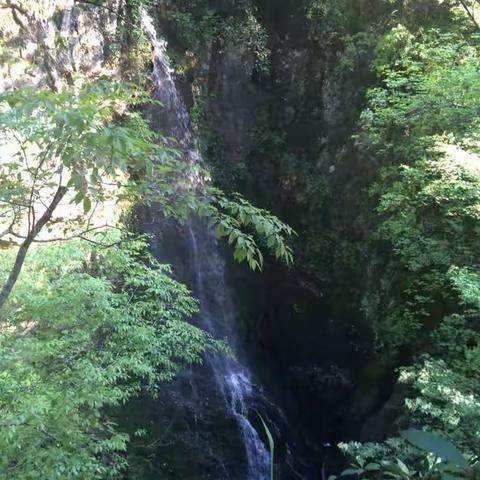 松风翠竹山荫路，飞瀑流泉濯我足------临海踏山记