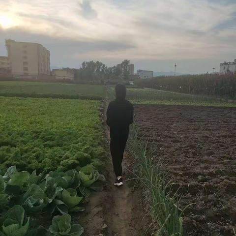 附中学子这样过中秋-秋的收获  347班张黛娜