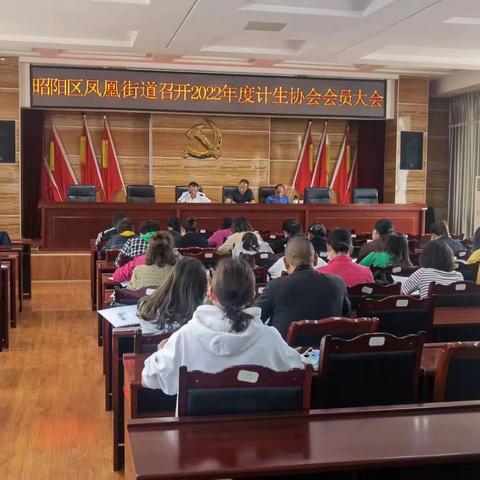 昭阳区凤凰街道计生协会召开2022年计生协会会员代表大会