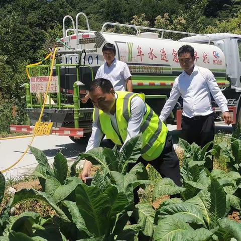 齐抗旱  保夏种  促增收