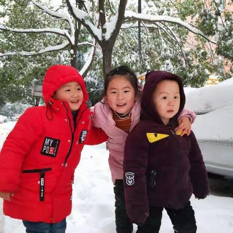 诗意满满的雪