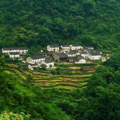 入住大山村绝顶，在硒元素长寿地深呼吸、漫生活！