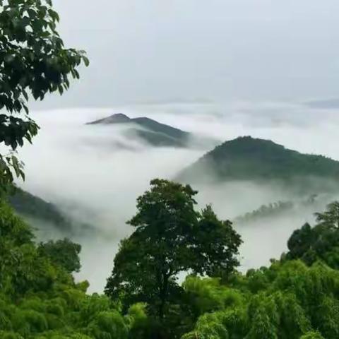 精品订制自驾尊享游：浪漫中秋玩转莫干