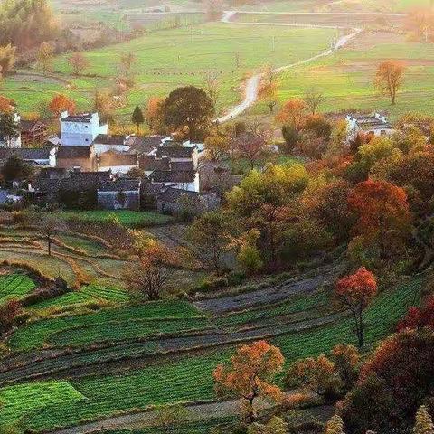 一叶知秋！自驾皖南川藏线:深度三天二晚，醉美塔川之秋色