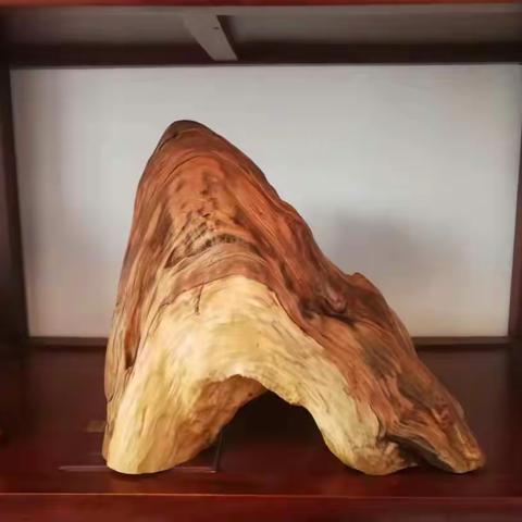 朽木尚可雕也