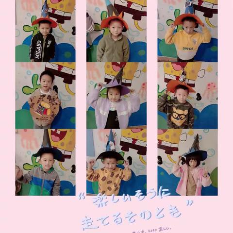 书法的美篇