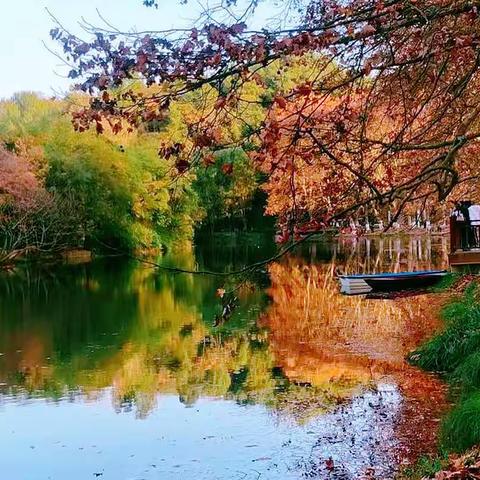 话你  黄金大道