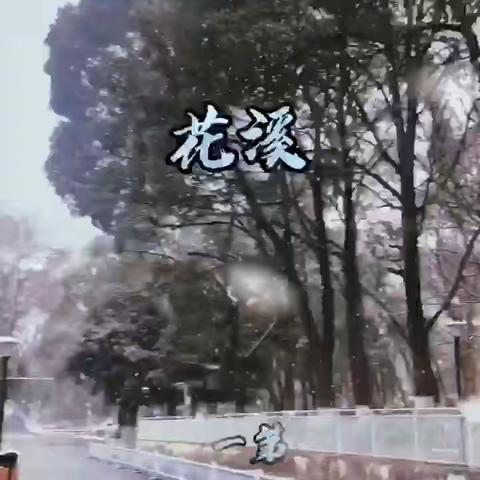 雪落下跳舞的音符