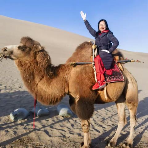 骑上骆驼逛月牙泉去
