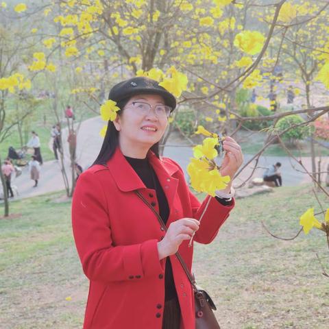 风铃花闹春了，来吧，我等你！