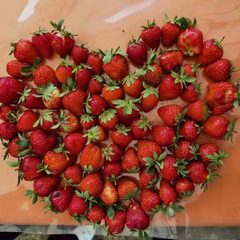 草莓🍓成熟季，带上朋友到美丽南方烧烤、采摘去！