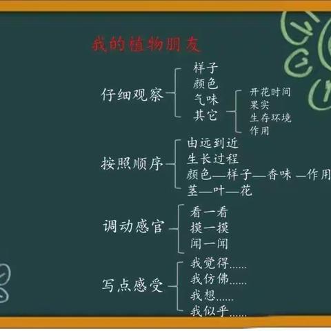 “我的植物朋友”——方城县四里店镇完全小学三四班优秀习作