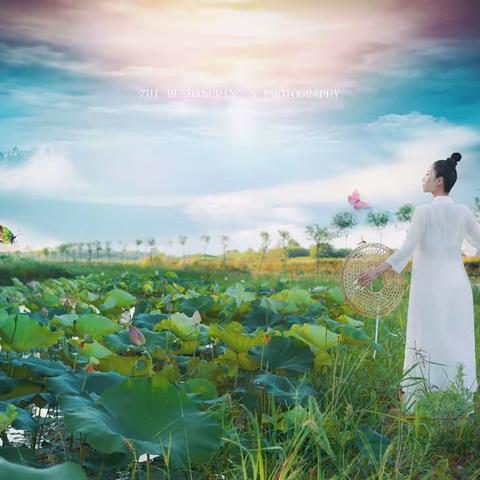 荷花人像 《 与夏 与你 与荷 》