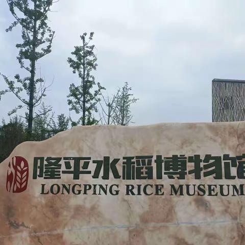 《禾下乘凉》——长郡双语谷山实验中学2205班暑假实践科普“双走进”