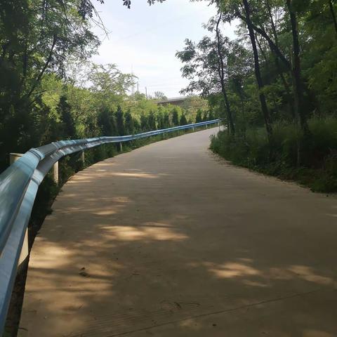 硖石乡：整治路域环境 助力乡村振兴