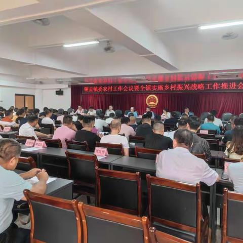 铜盂镇召开镇委农村工作会议暨全镇实施乡村振兴战略工作推进会