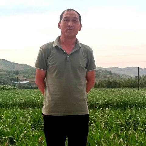 行进在乡村振兴的道路上，—我的下乡情怀