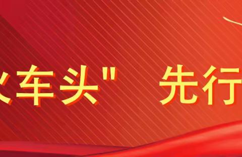 “冬扫落叶 党员先行”主题党日活动