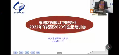 筑牢统计基础 夯实主体责任——雁塔区局召开规下服务业年定报培训会